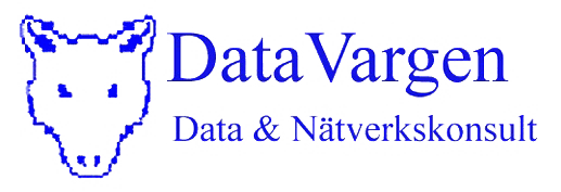 DataVargen Logo